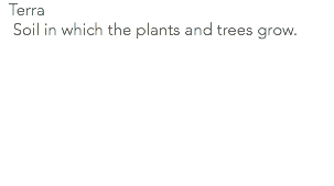  Terra Soil in which the plants and trees grow. 